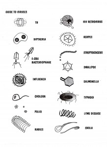 Guide to viruses with images of viruses