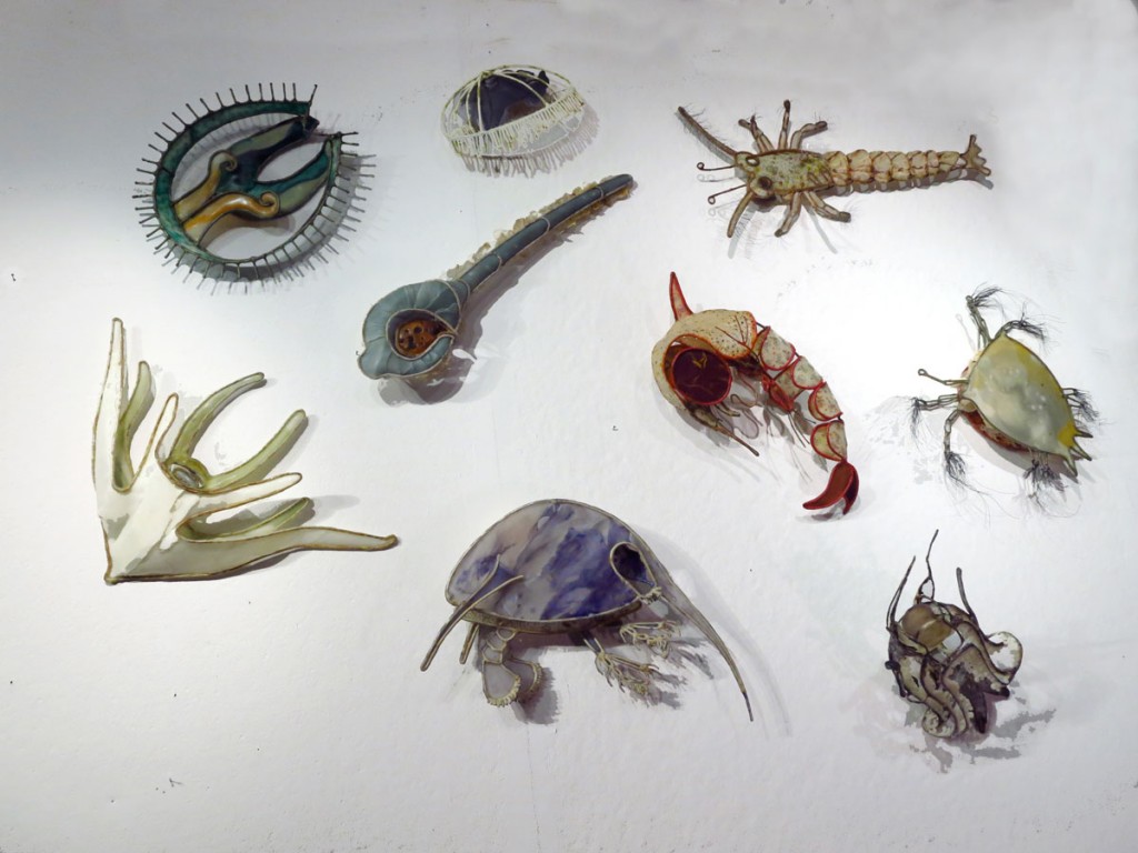 2010 Filter Feeders Christy Rupp