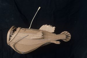 Bottomfish, 1980s