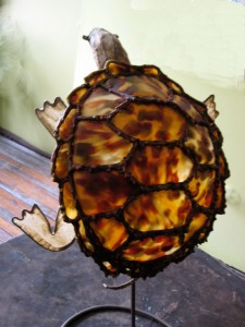 Oily Kinetic Turtle (dorsal view)