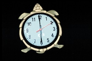 Turtle clock from the series Time Flies by Christy Rupp