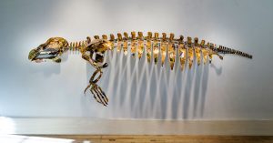 Remaining Balance Insufficient, life-size Manatee skeleton, 2015, welded steel, gold credit cards, and plastic gift cards, 122 x 43 x 17 inches