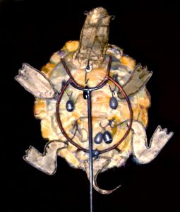 Oily Kinetic Turtle (lateral view)