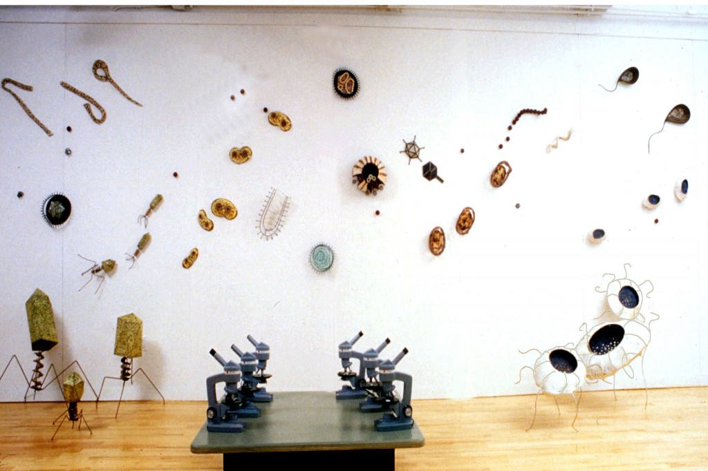 Viruses and Bacteria sculptures installation view