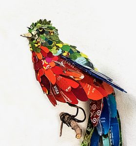 Quetzal, detail