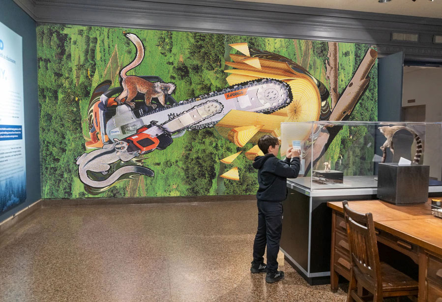 Large collage of chainsaw and lemur with boy in foreground looking into vitrine