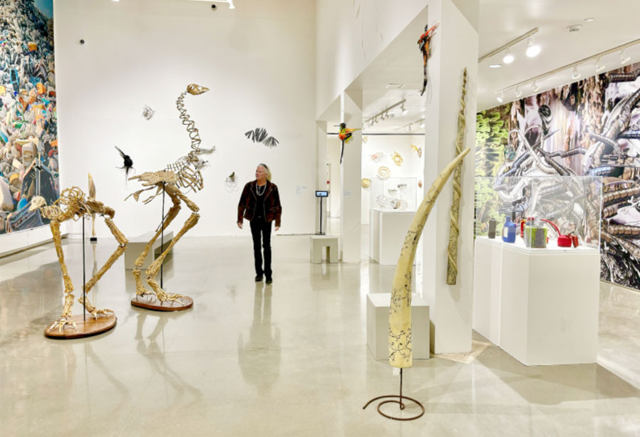 Visitor viewing the Streaming exhibit at Fairfield University